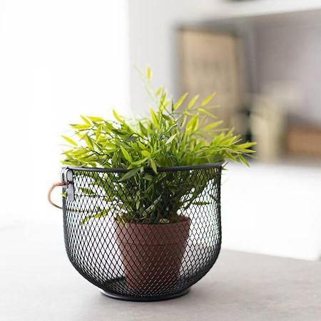 ברמאו Aldatseta Home Apartamento Centrico מראה חיצוני תמונה